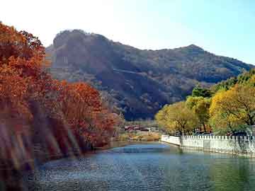 新澳天天开好彩资料大全，上海排水板